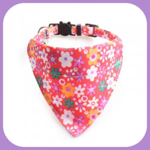 Collar-037